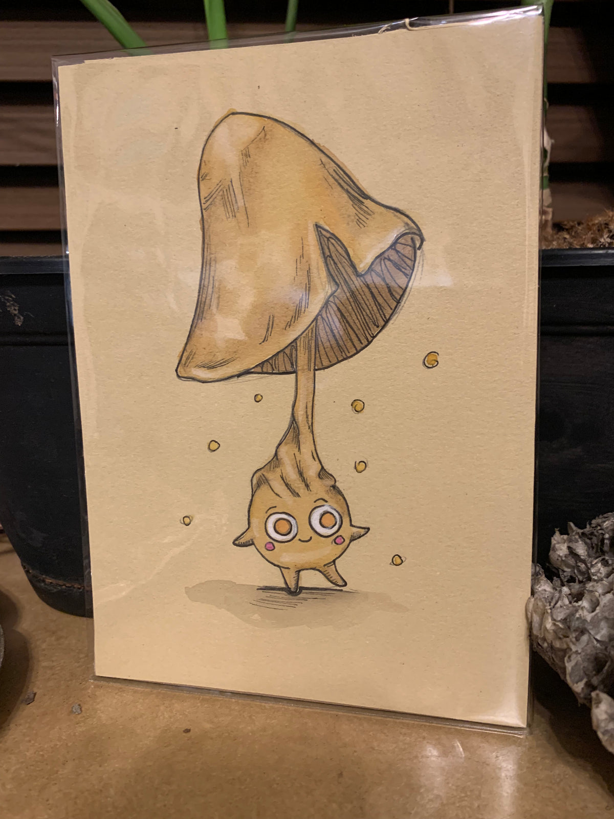 Fungi friends illustrations