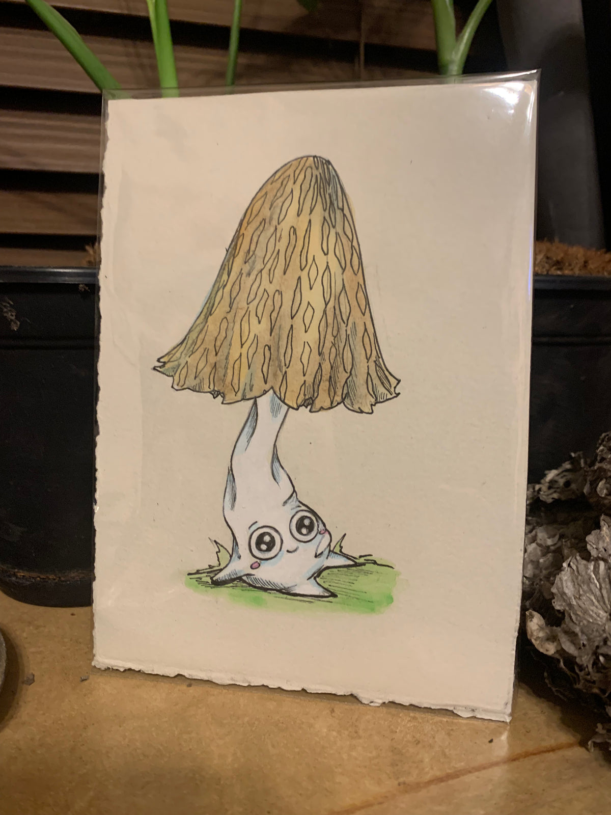 Fungi friends illustrations