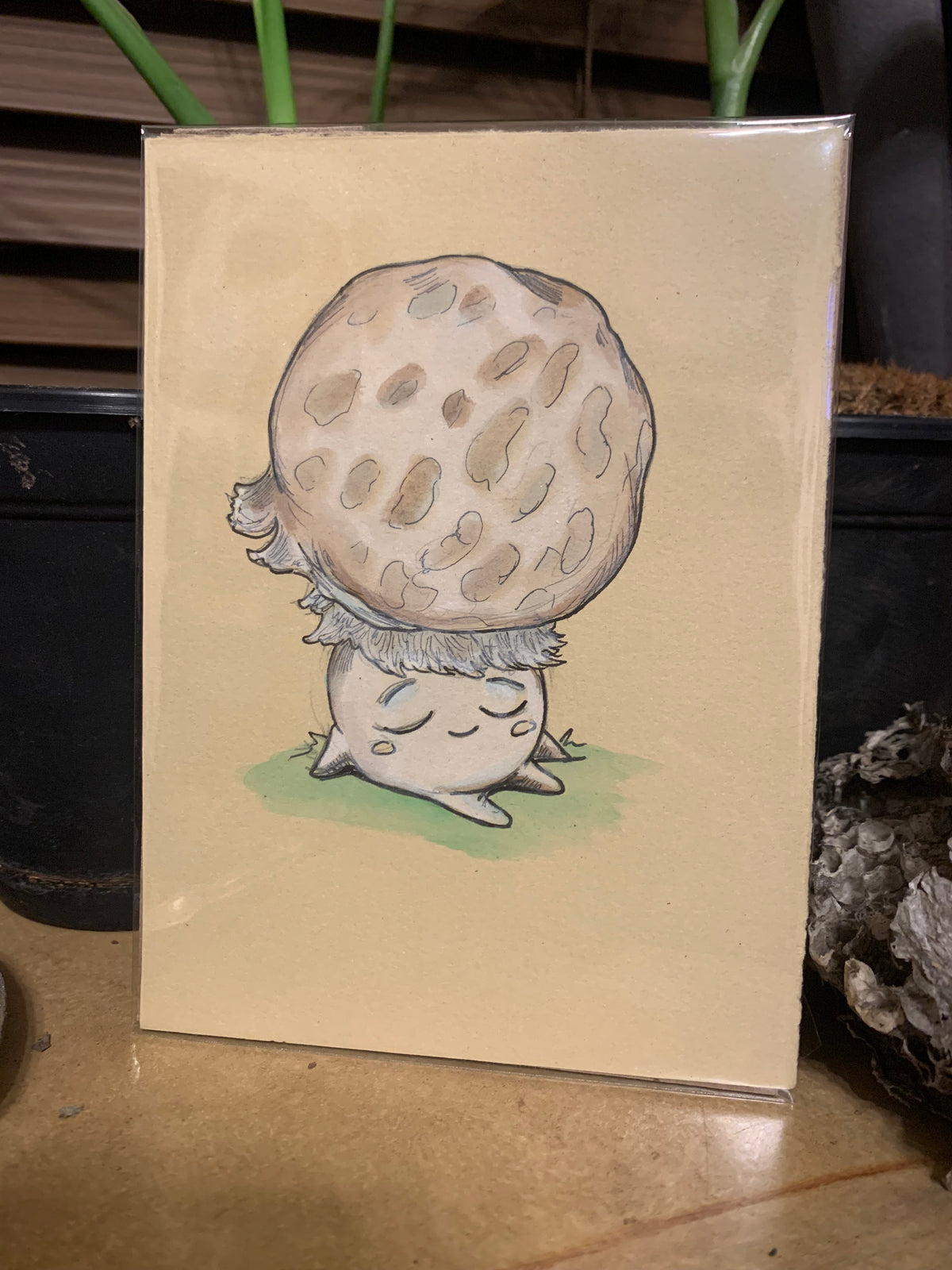 Fungi friends illustrations