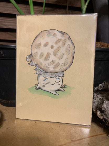 Fungi friends illustrations