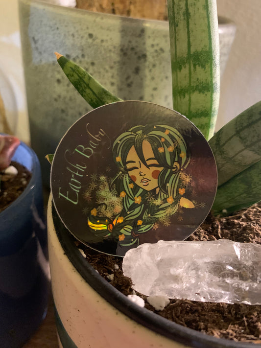 Zodiac bb holographic stickers