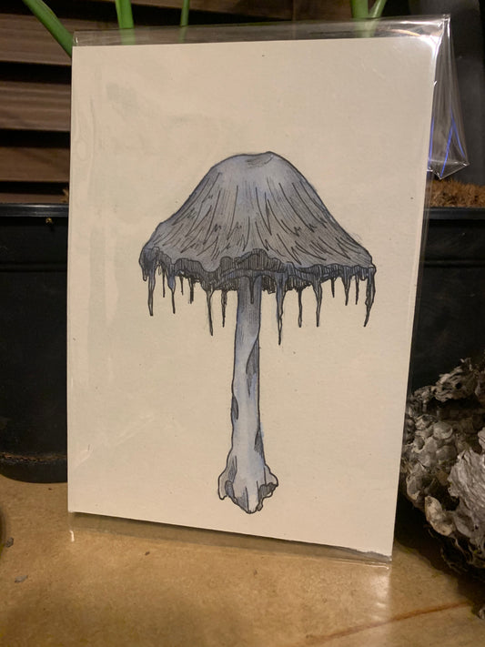 Water color mushroom illustrations
