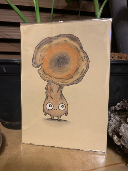 Fungi friends illustrations