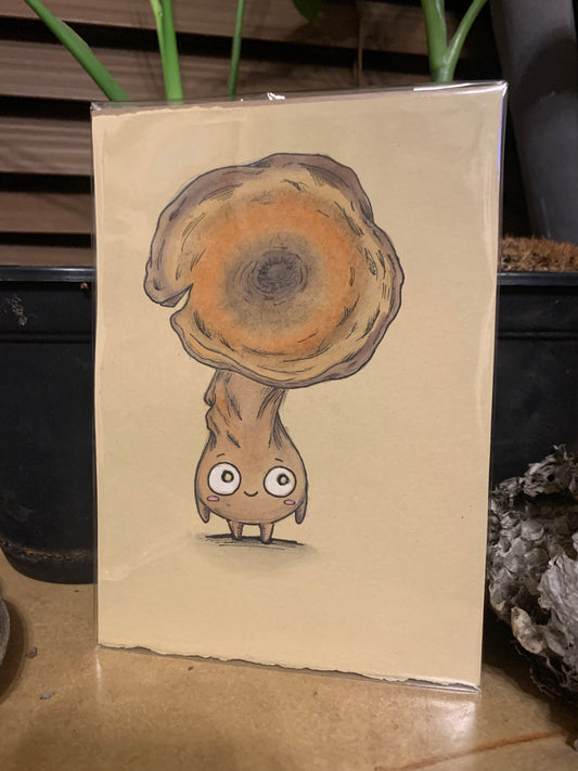 Fungi friends illustrations