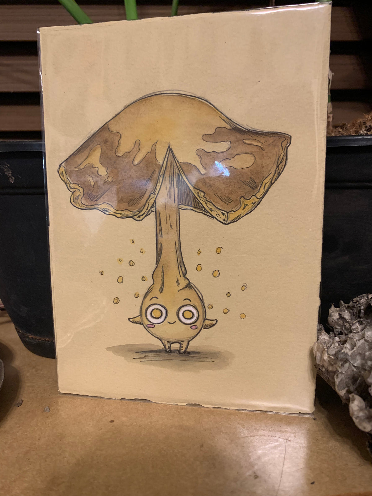 Fungi friends illustrations