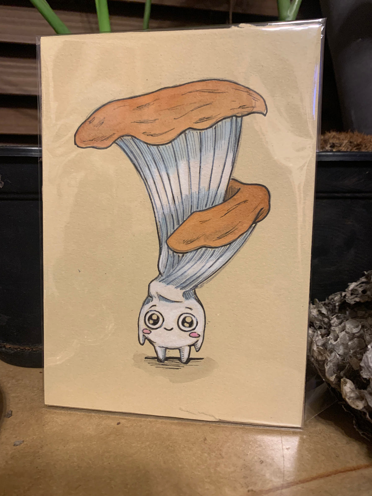 Fungi friends illustrations