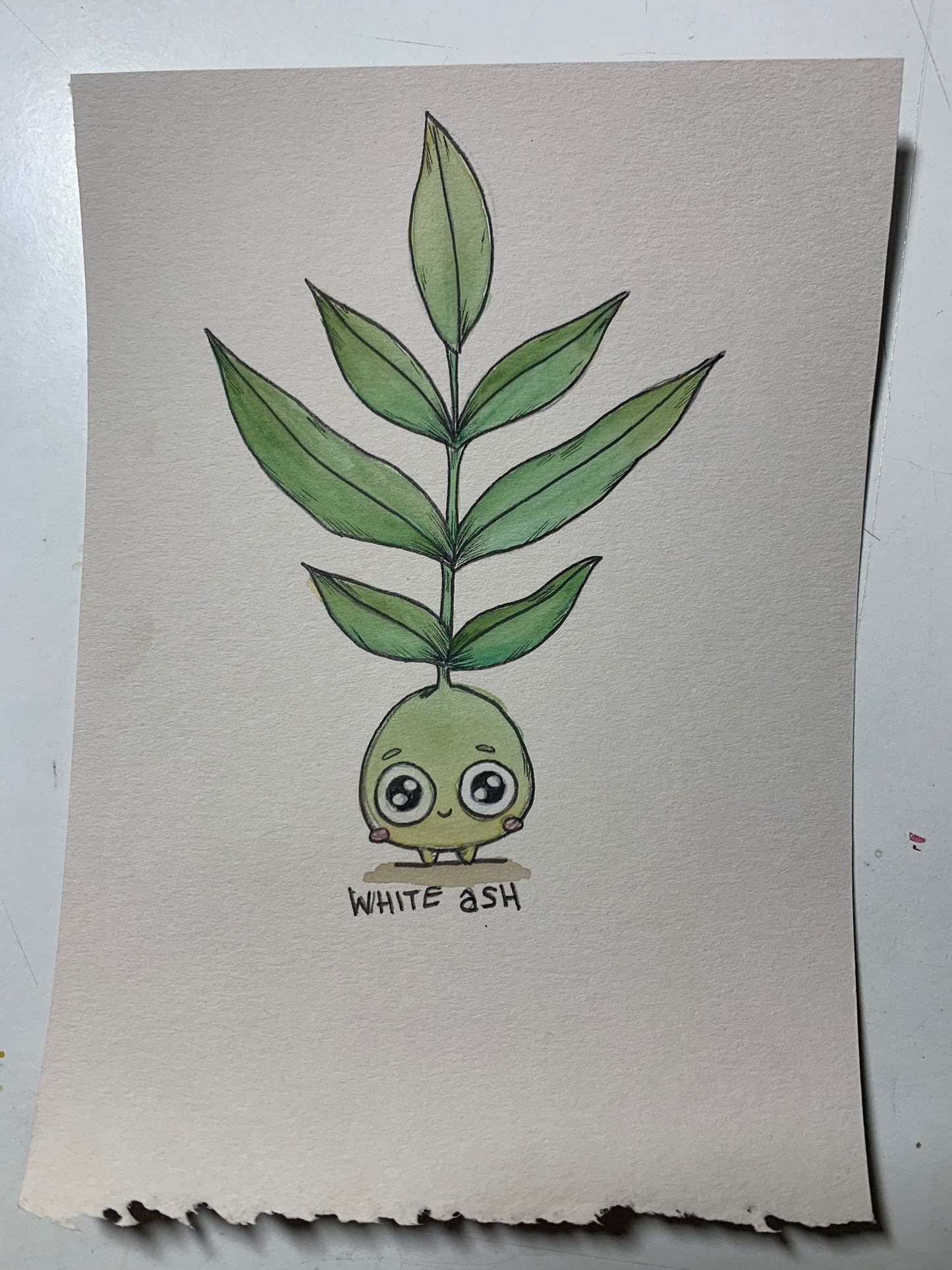 Tree friend illustrations
