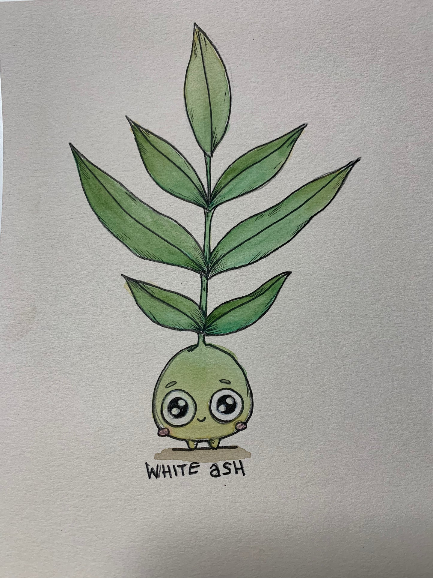 Tree friend illustrations
