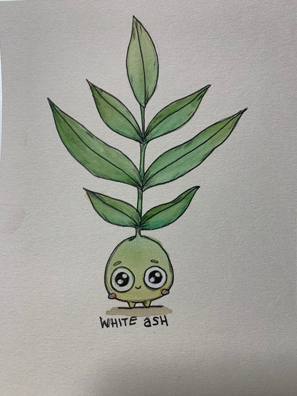 Tree friend illustrations