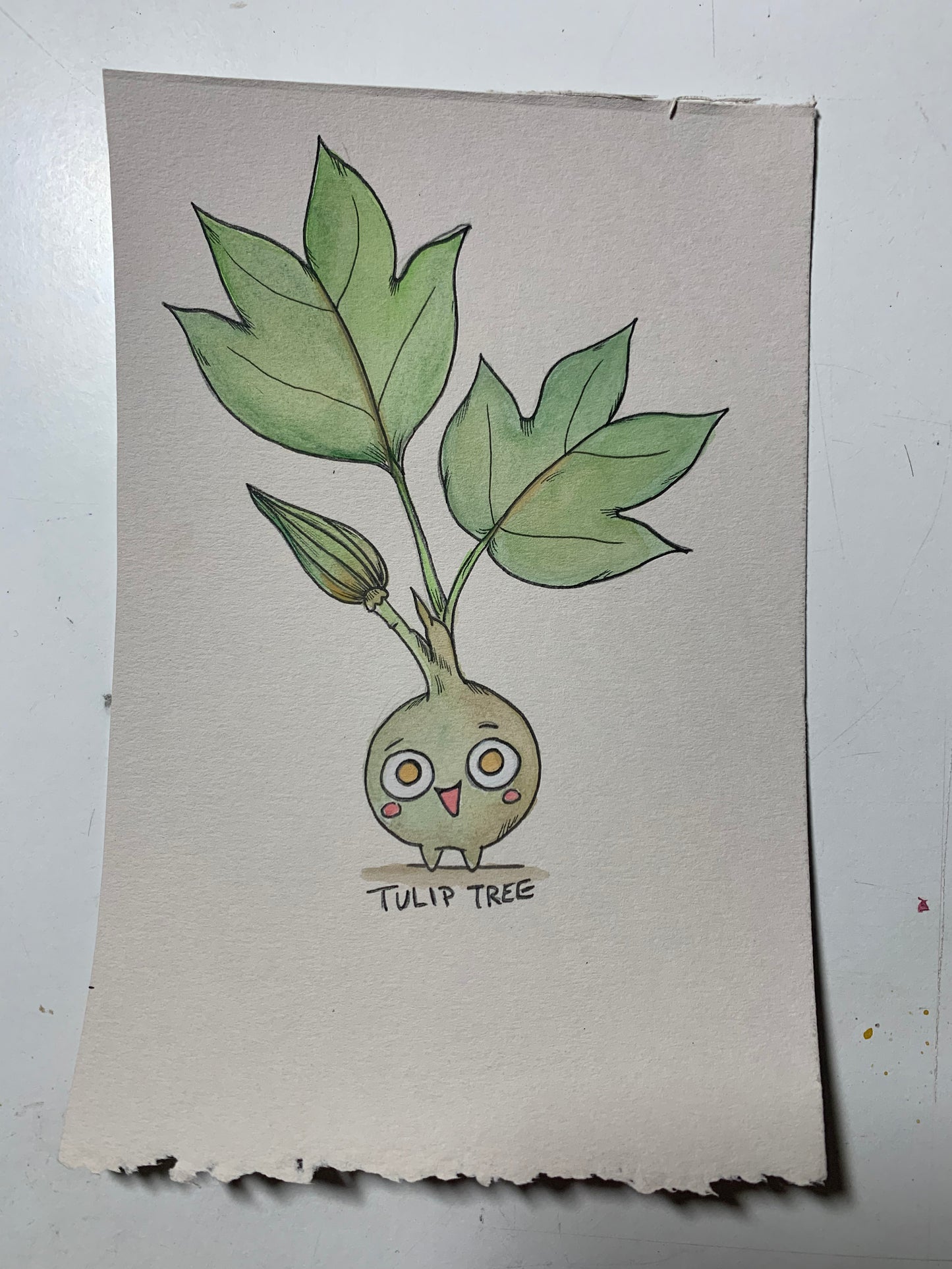 Tree friend illustrations